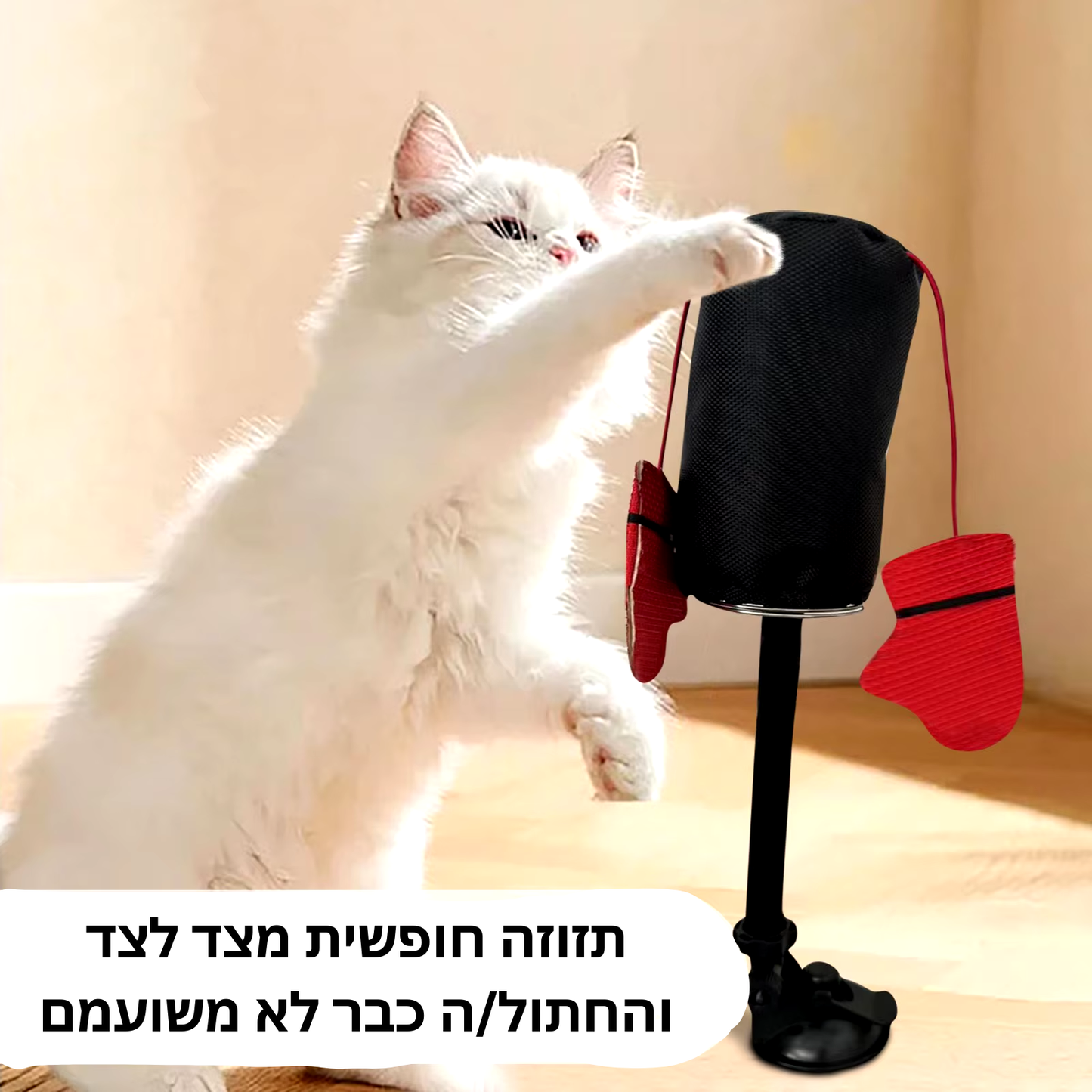 צעצוע אגרוף אינטראקטיבי לחתול עם קאטניפ – לשמור את החתול פעיל ומרוצה!